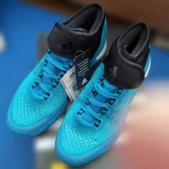 adidas バスケットボールシューズ 青