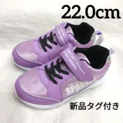 Item thumbnail for item 320e1a34-0530-4c67-a8ce-95cbca4b0245