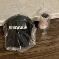 BRIDGES 黒キャップ&クリプトビオシスフィギュア