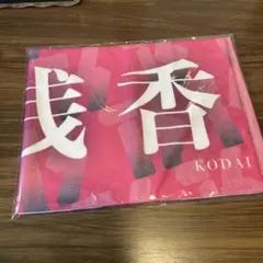 中沢元紀　マフラータオル　ベイヤードトーキョー　トライストーン大運動会 2025年最新】トライストーン大運動会 マフラータオルの人気