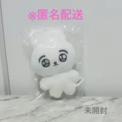 JungKook ジョングク マスター うさぎ ぬいぐるみ 10cm
