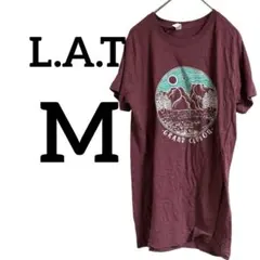 L.A.T【M】グランドキャニオン プリントTシャツ ボルドー ヴィンテージ