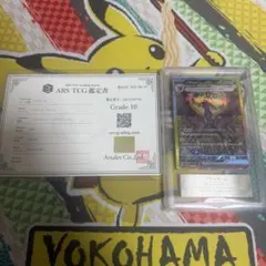 ARS10 ブラッキーex SAR テラスタルフェスex 鑑定書付き ARS鑑定