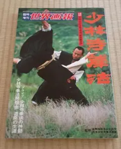 少林寺拳法 趣味