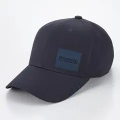 Item thumbnail for item 66466b69-b4af-4847-8425-930d43411c35