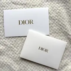 【新品・未使用】DIOR ディオール　封筒　袋　ケース　白　ホワイト　2枚セット