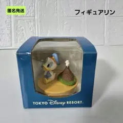 【匿名】ディズニー フィギュアリン ベビードナルドダック プロメテウス火山のサムネイル