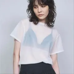 未使用に近いGALLARDA GALANTE シアーTシャツ ホワイトのサムネイル