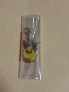 ポケモン ポケセン メタルチャーム キーホルダー ストラップ ブイズ