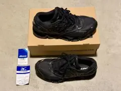 mizuno WAVE PROPHECY LS 29cm