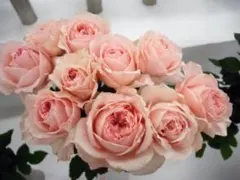 ベティ様 リクエスト 3点 まとめ商品