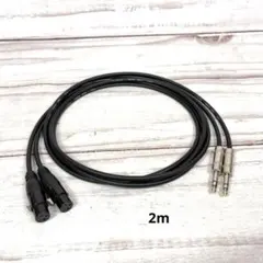 CANARE L-4E6S TRS XLR ケーブル 2m 2本セット - メルカリ