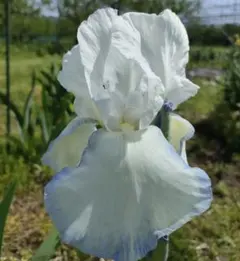 パピー様 リクエスト 3点 まとめ商品