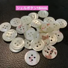 シェルボタン