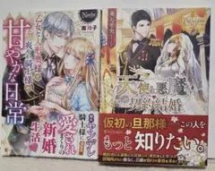 天使と悪魔の契約結婚 　TL 小説2冊 単行本