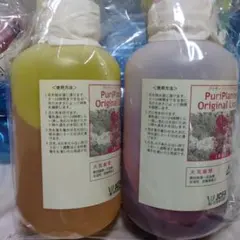 프리저브드 플라워 프로세싱 솔루션, 5가지 색상