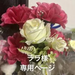 ララ様専用ページ