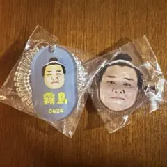 Item thumbnail for item 9d75d489-c9b3-43dc-83f8-ed2b1cd79d63