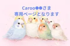 Caroo☻☻さま専用ページとなります