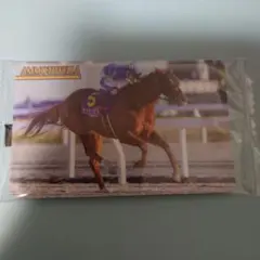 まねき馬　2704　アンモシエラ　横山武史