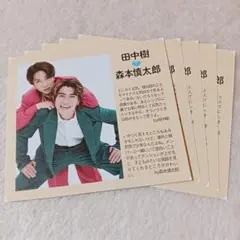 田中樹・森本慎太郎 TVガイド オール2ショットペア推しBOOK 切り抜き