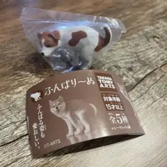 Item thumbnail for item 95eb681e-5f18-4b05-a82c-3bf394a27729