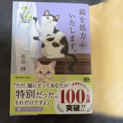 猫を処方いたします。6 石田祥