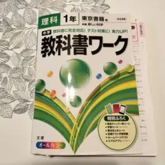 Item thumbnail for item dde86bba-95ea-4df2-8335-bb63e6f73962