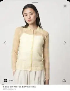 【新品未使用タグ付き】CITEN シアーボーダーポロニット　イエローのサムネイル