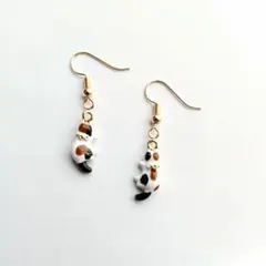 №703・猫ピアス