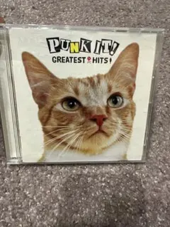 2026年最新】great punk hitsの人気アイテム - メルカリ