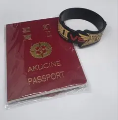 聖飢魔II AKUCINE PASSPORT おまけ　使用済みラバーバンドセットのサムネイル