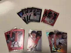 バレーボール トレーディングカードセット