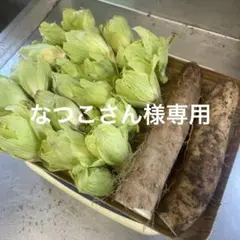 なつこさん様専用