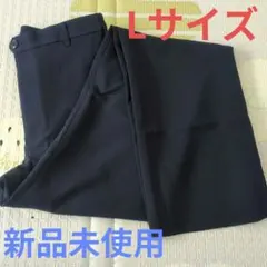 Item thumbnail for item d78bf05e-28cd-40f3-abed-d010fea38b38