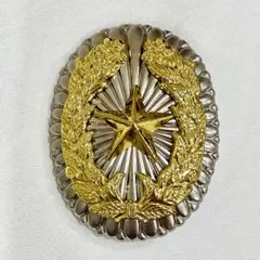 2025年最新】大日本帝国陸軍 勲章の人気アイテム - メルカリ
