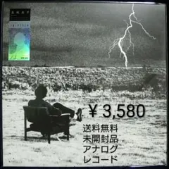 未使用品 LP　Shohei Takagi Parallela Botanica