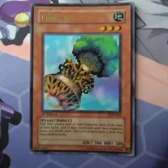 2025年最新】ファイバーポッド アジアの人気アイテム - メルカリ