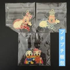 ジャングルカーニバル　35周年　ミッキー　ミニー　雨の日　ドナデジ