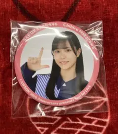 Item thumbnail for item 8dbb8af1-eb9f-4f8d-a3ae-c938d069de08