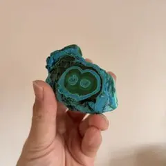 Selena ※プロフィール必読願います様 リクエスト 2点 まとめ商品