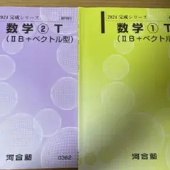 河合塾 数学Tテキスト(理系) 完成シリーズ 板書・解答プリント付き 