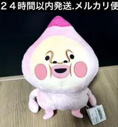 こびとづかん カクレモモジリ BIGぬいぐるみ　タグ付き