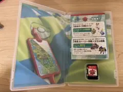 ポケットモンスター シールド Nintendo Switch