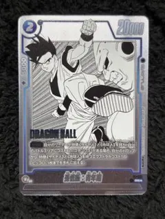 ふじちゃん様 リクエスト 2点 まとめ商品