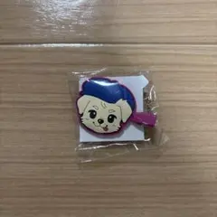 三代目 J Soul Brothers 岩田剛典 ヘアクリップ