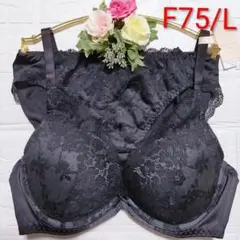 F75・L◆トリンプ　アモスタイル◆夢みるブラ DeepV ブラ＆ショーツ