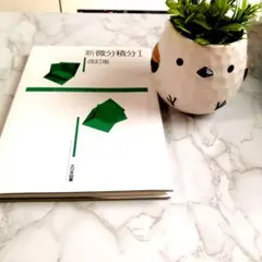 【美品】新微分積分Ⅰ　改訂版