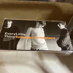 Every Little Thing Someday, Someplace