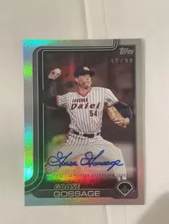 Item thumbnail for item 46642afd-ee67-40f4-bc30-8b79b9a02aac